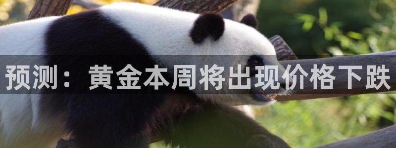 极悦生活：预测：黄金本周将出现价格下跌