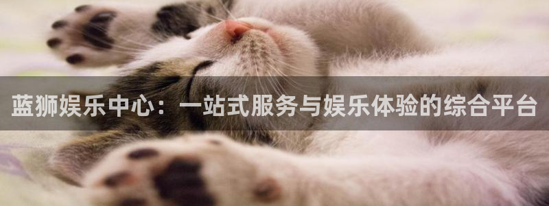 舒客极悦：蓝狮娱乐中心：一站式服务与娱乐体验的综合平台