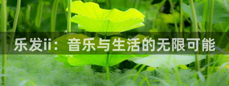 极悦娱乐.ccm苹果版：乐发ii：音乐与生活的无限可能