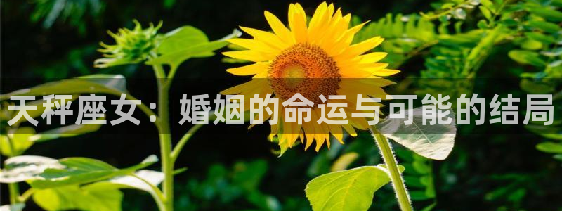 极悦娱乐可靠吗：天秤座女：婚姻的命运与可能的结局