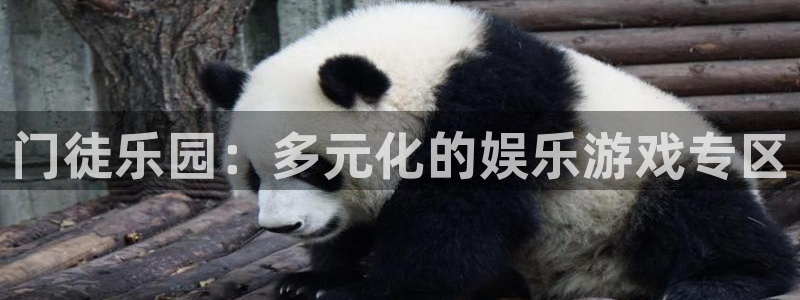 壹号大舞台下载链接：门徒乐园：多元化的娱乐游戏专区