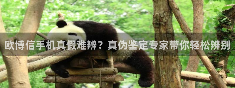 极悦链接：欧博信手机真假难辨？真伪鉴定专家带你轻松辨别