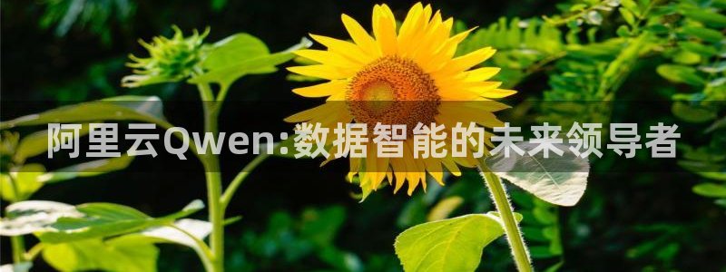 极悦娱乐app网页入口：阿里云Qwen:数据智能的未来领导者