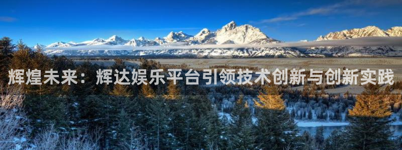 极悦娱乐加拿大在线预测：辉煌未来：辉达娱乐平台引领技术创新与创新实践