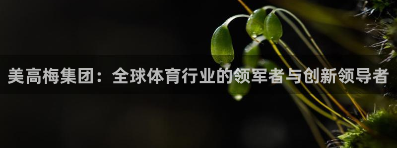 极悦娱乐下载：美高梅集团：全球体育行业的领军者与创新领导者