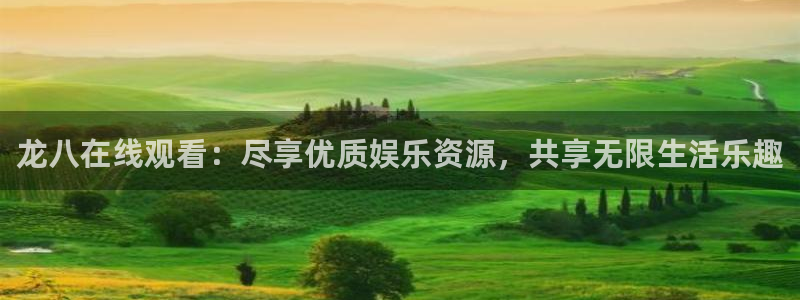 极悦娱乐麻将胡了：龙八在线观看：尽享优质娱乐资源，共享无限生活乐趣