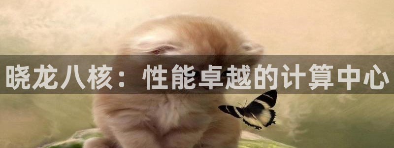 极悦娱乐ccm赏金女王：晓龙八核：性能卓越的计算中心