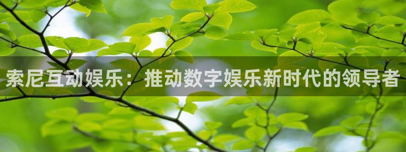 极悦娱乐注册网站app：索尼互动娱乐：推动数字娱乐新时代的领导者