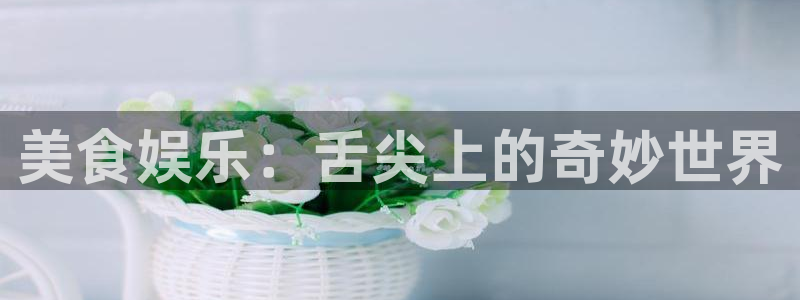 极悦娱乐网页版：美食娱乐：舌尖上的奇妙世界
