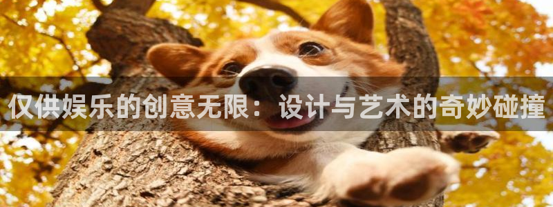 壹号大舞台28国际大舞台：仅供娱乐的创意无限：设计与艺术的奇妙碰撞
