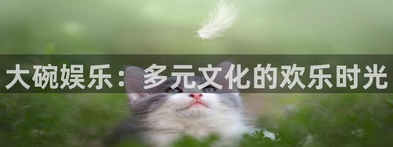 壹号电子娱乐app下载最新版：大碗娱乐：多元文化的欢乐时光