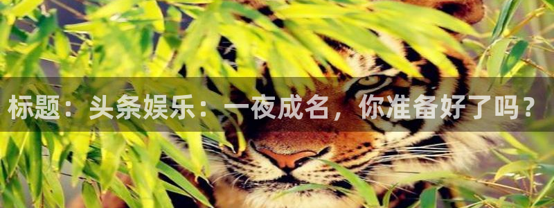 极悦娱乐在线预测：标题：头条娱乐：一夜成名，你准备好了吗？