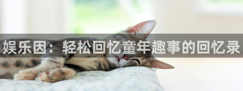 极悦娱乐平台登录：娱乐因：轻松回忆童年趣事的回忆录