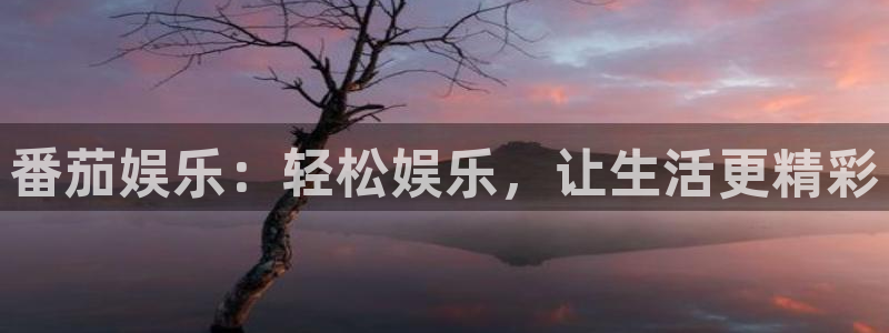 壹号国际app免费下载安装：番茄娱乐：轻松娱乐，让生活更精彩