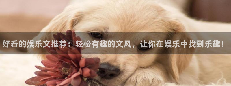 壹号大舞台：好看的娱乐文推荐：轻松有趣的文风，让你在娱乐中找到乐趣！