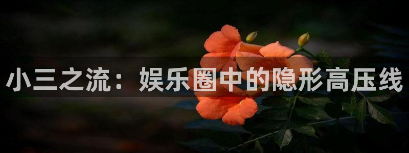 极悦娱乐vip麻将胡了：小三之流：娱乐圈中的隐形高压线