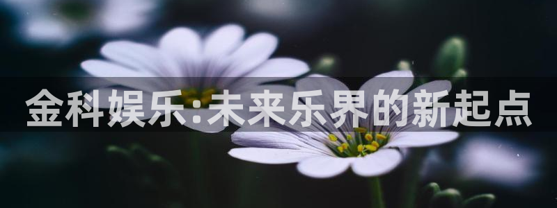 电子游戏极悦娱乐：金科娱乐:未来乐界的新起点