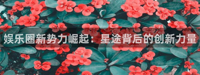 极悦娱乐app下载安装最新版：娱乐圈新势力崛起：星途背后的创新力量