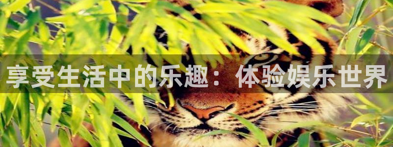 极悦娱乐下载地址：享受生活中的乐趣：体验娱乐世界